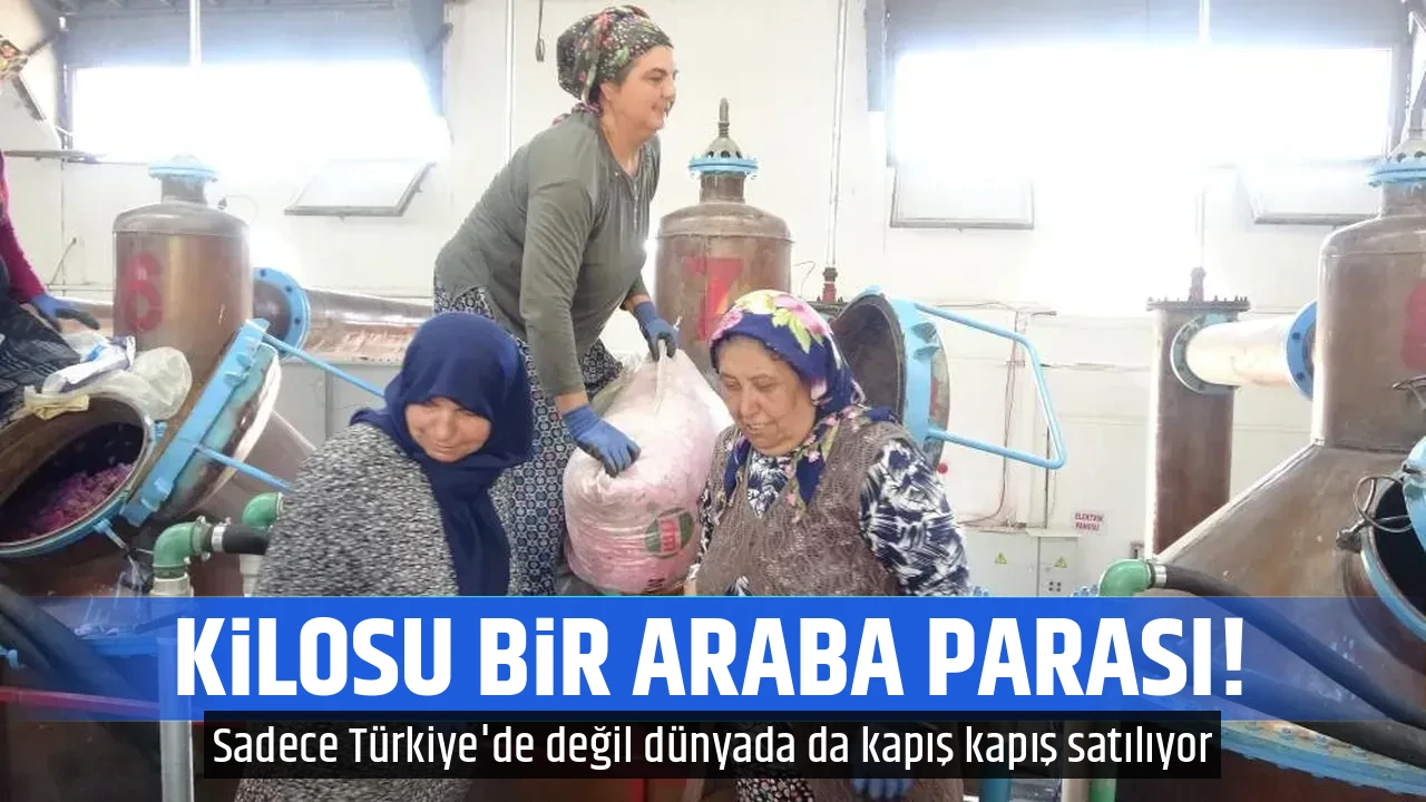KİLOSU BİR ARABA PARASI!
