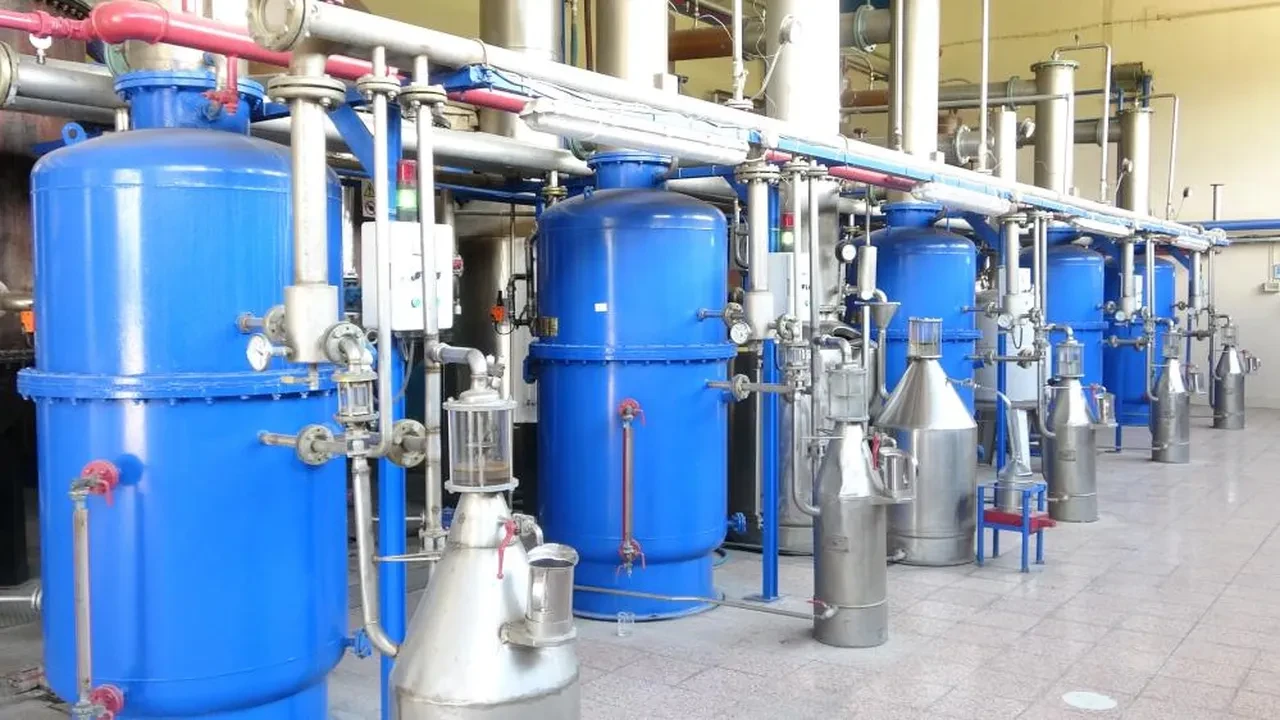 Kilosu bir araba parası! Sadece Türkiye'de değil dünyada da kapış satılıyor