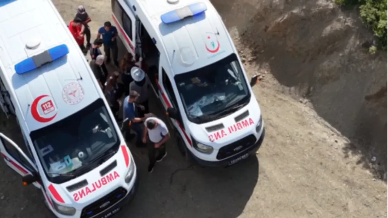 Mantar ararken karşılarına ayı çıktı! Korkunç saldırıda 3 kişi yaralı