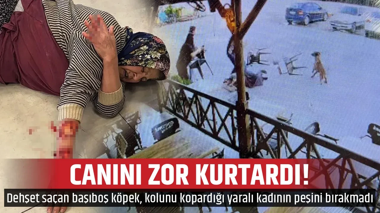 CANINI ZOR KURTARDI!