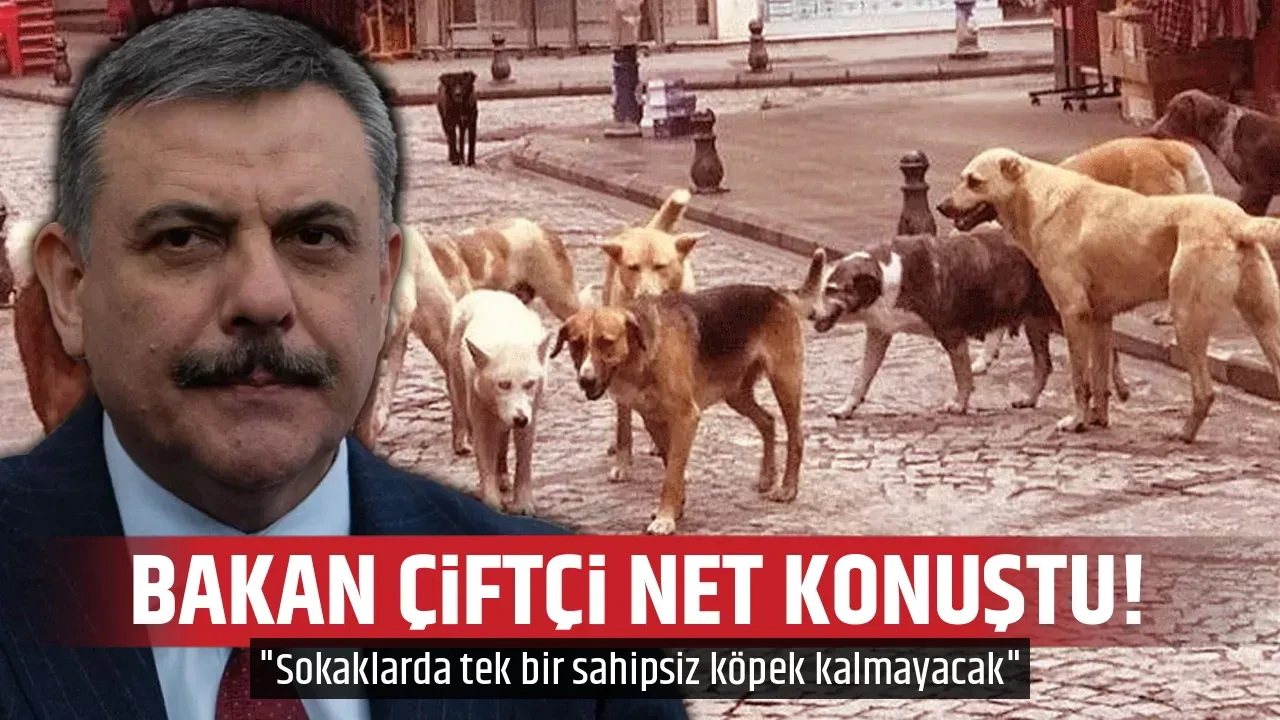 BAKAN ÇİFTÇİ NET KONUŞTU!