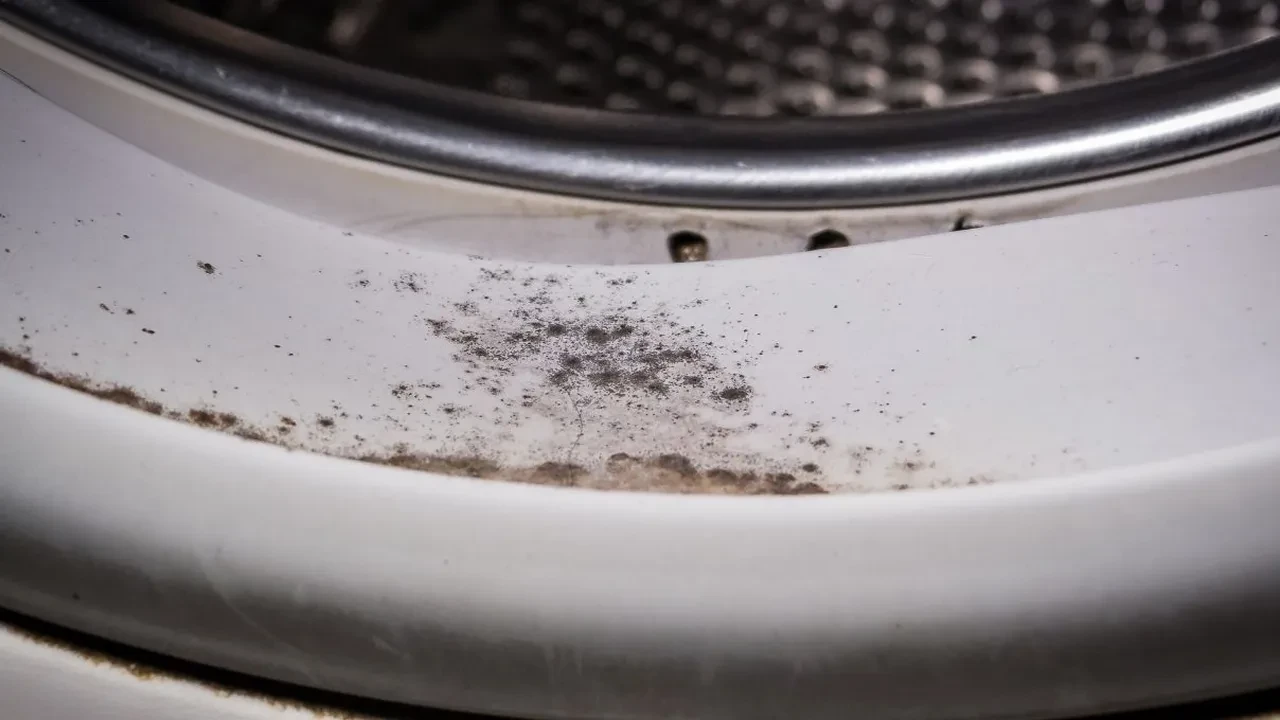 Çamaşır makinesinin lastiğinde oluşan kötü koku ve siyah küf lekeleri ovalamadan nasıl temizlenir?