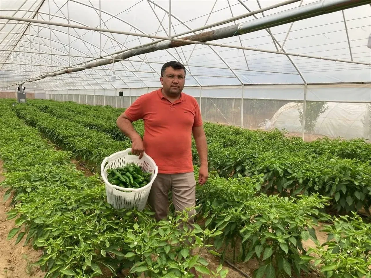Kilosu 350 TL ama kapış kapış gidiyor! Lezzeti fiyatını unutturuyor
