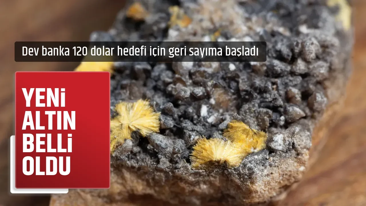 YENİ ALTIN BELLİ OLDU