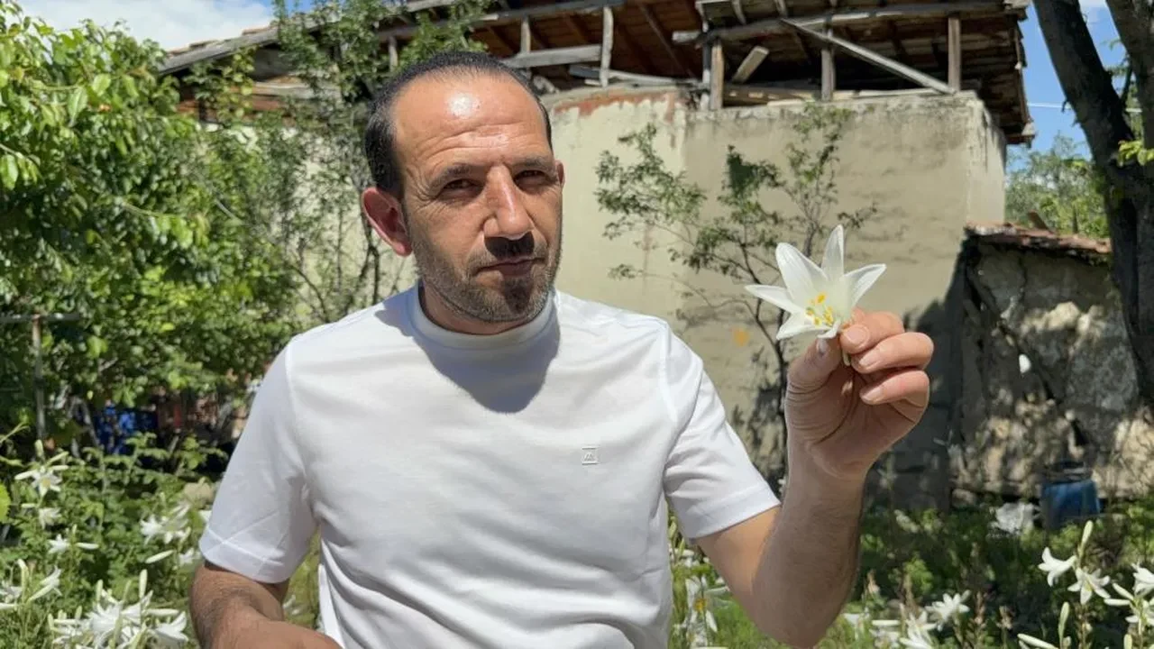 Babasından miras kaldı, litresi 5 bin euroyu aştı! Tokat'ın doğal para basma makinesi