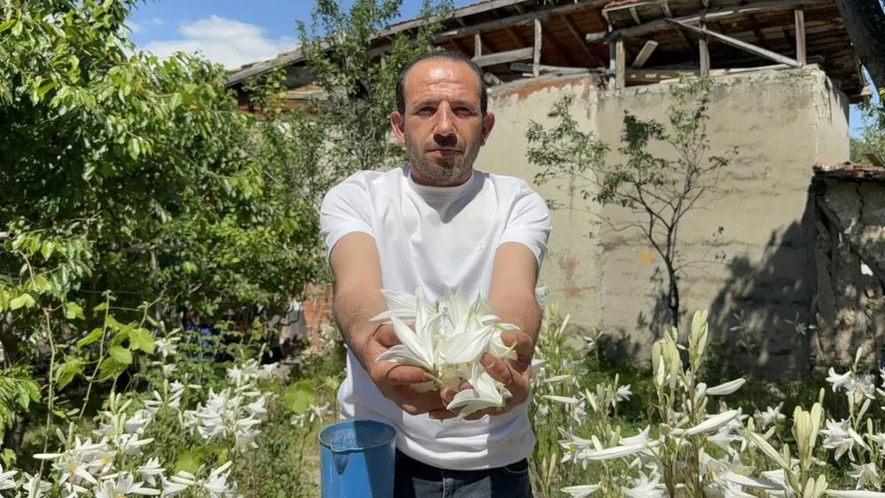 Babasından miras kaldı, litresi 5 bin euroyu aştı! Tokat'ın doğal para basma makinesi