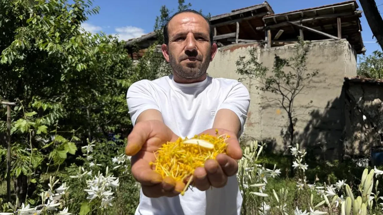 Babasından miras kaldı, litresi 5 bin euroyu aştı! Tokat'ın doğal para basma makinesi