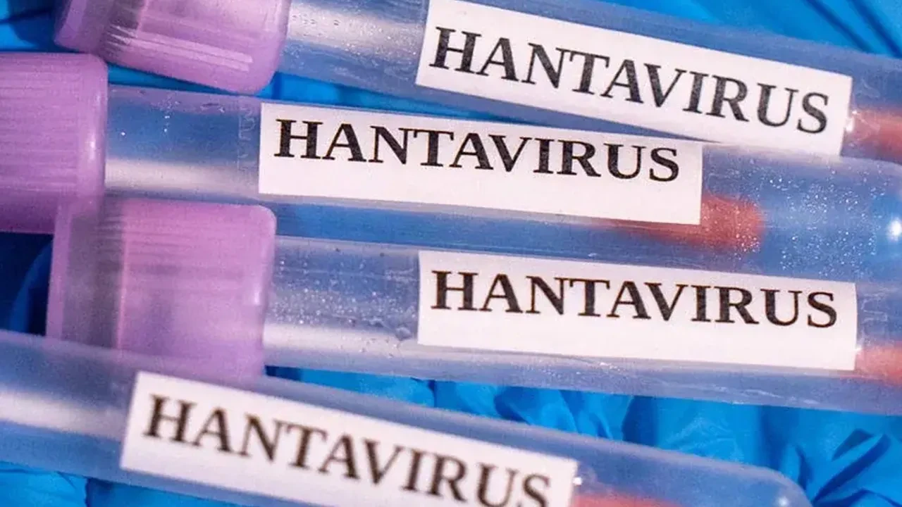 DSÖ'den hantavirüs açıklaması: Yaklaşık 3 haftadır vaka yok