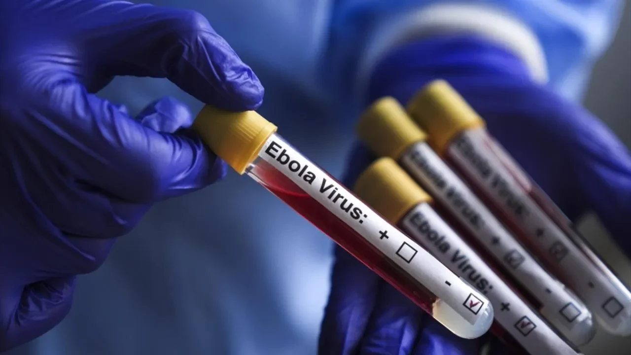 Korkutan uyarı geldi:  Kongo'daki Ebola salgını kontrolden çıkabilir