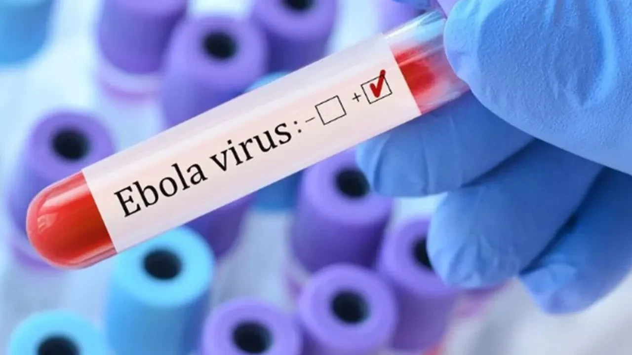Korkutan uyarı geldi:  Kongo'daki Ebola salgını kontrolden çıkabilir