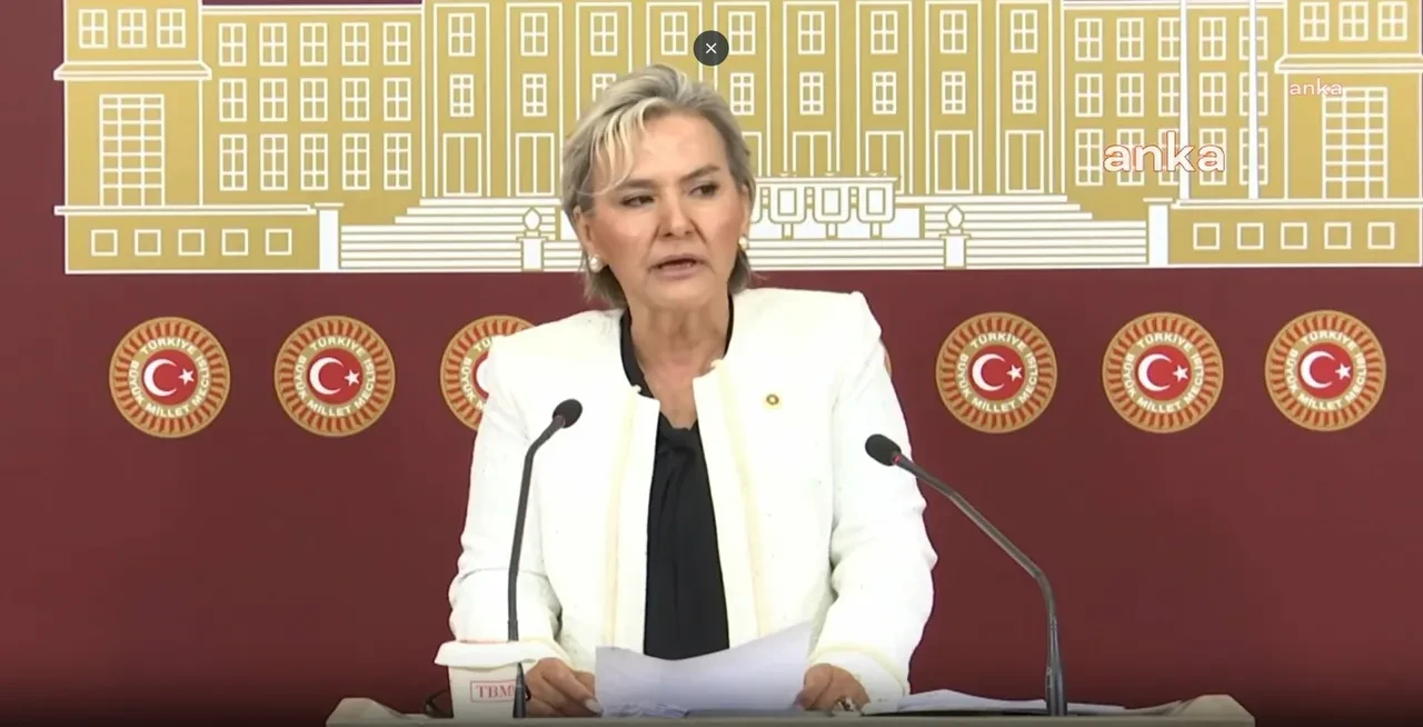 Özgür Özel destekçisiydi! Nimet Özdemir CHP'den istifa etti 