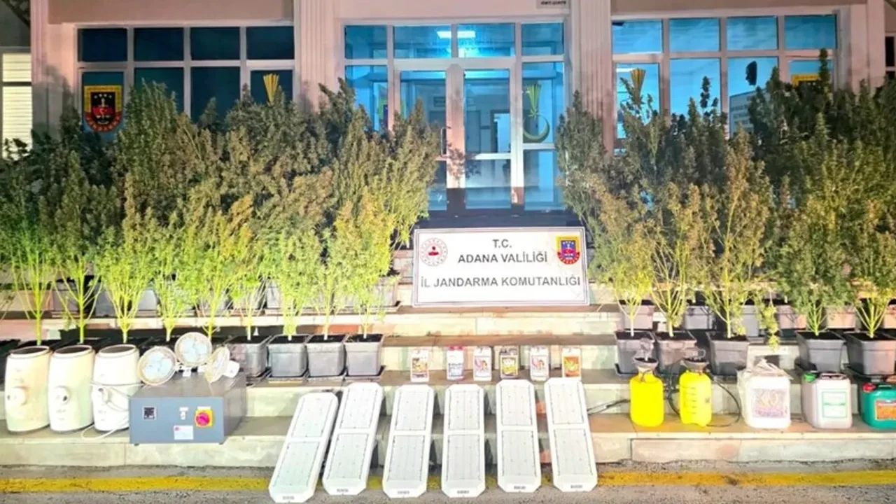 45 ilde 'Narko Pars' operasyonu! Uyuşturucuyu yurtdışından kargo ile getiriyorlarmış