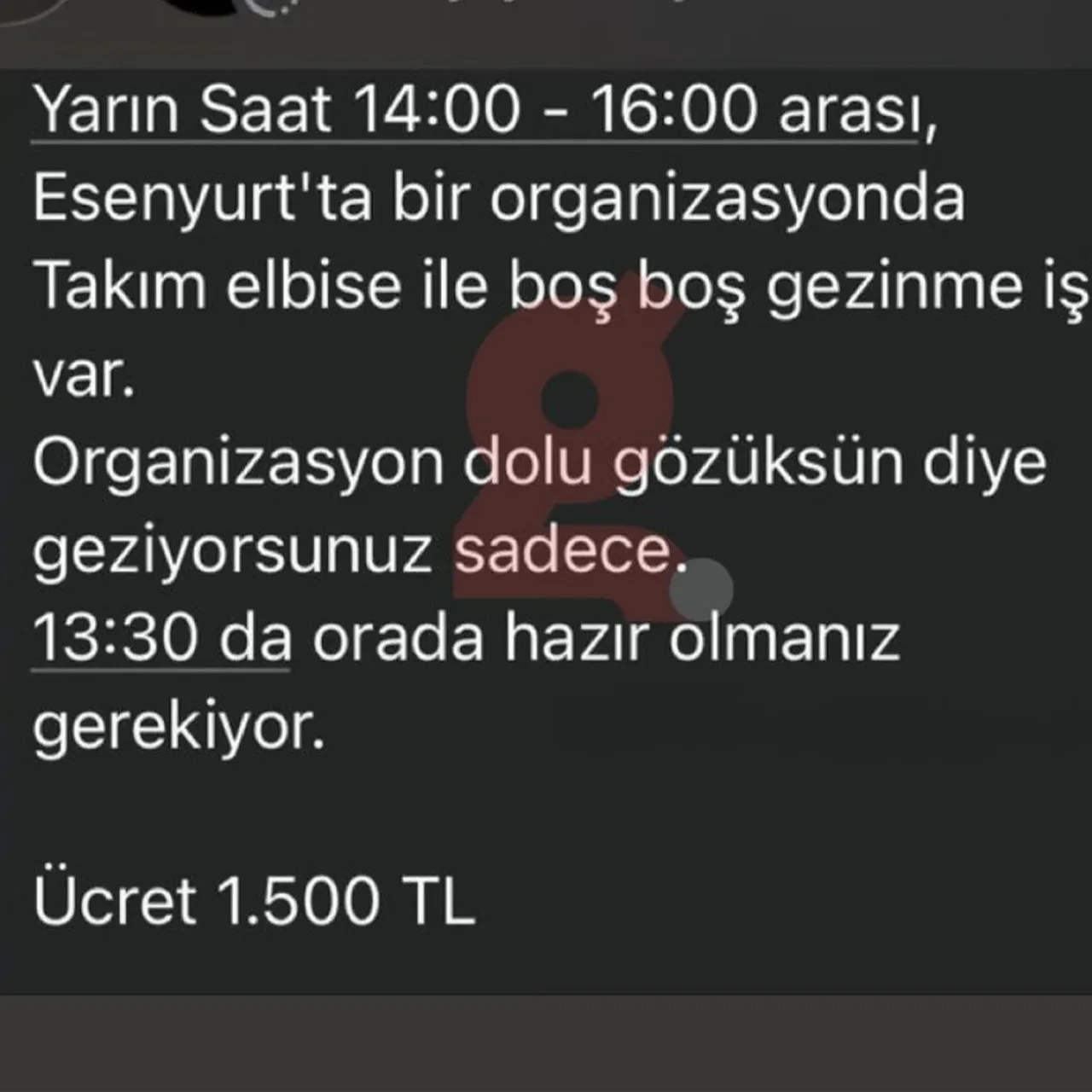 Böyle iş ilanı görülmedi! 2 saatte 1500 TL ücret: Tek şart var o da 'boş gezmek'