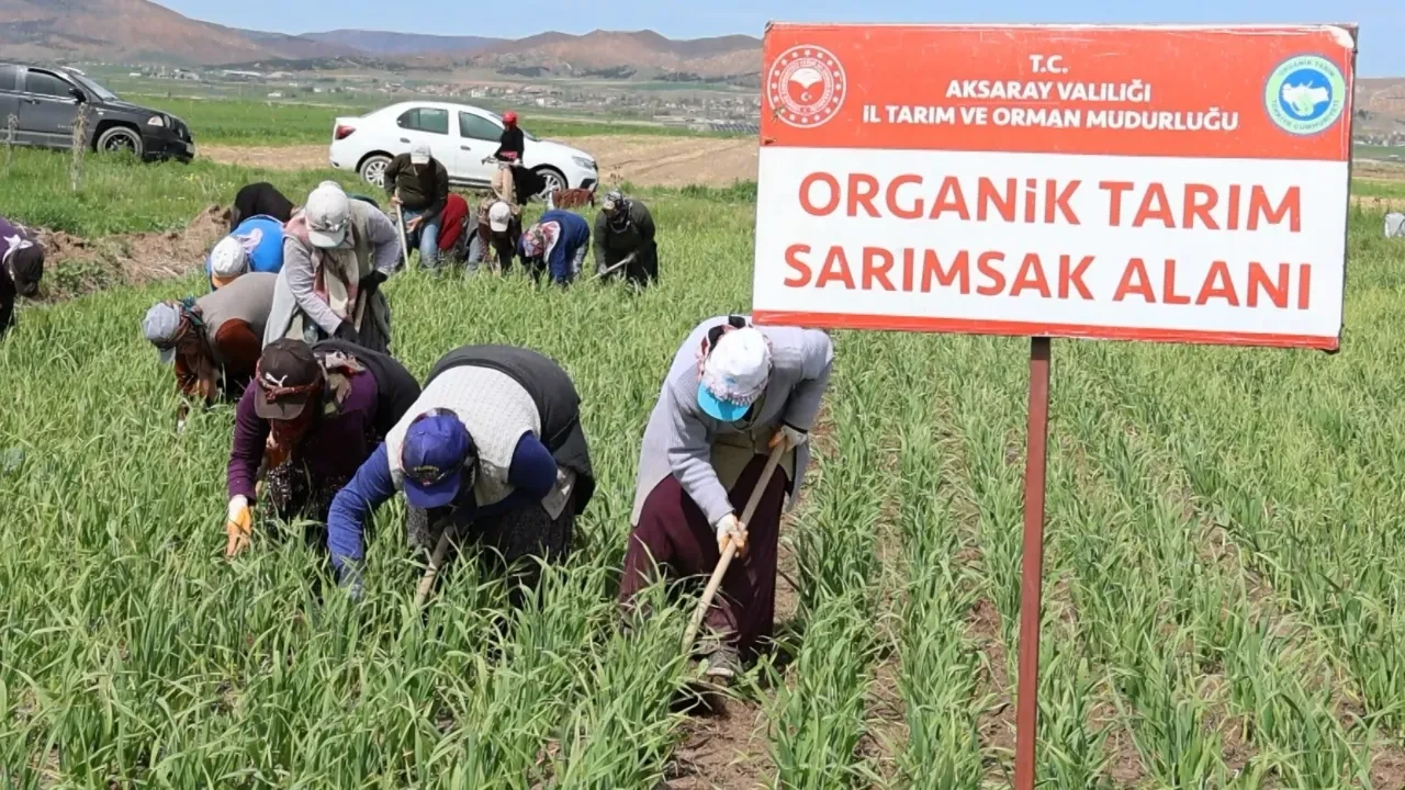 İspanyollar Aksaray’ı keşfetti! Üretimi Türkiye’de yapacaklar