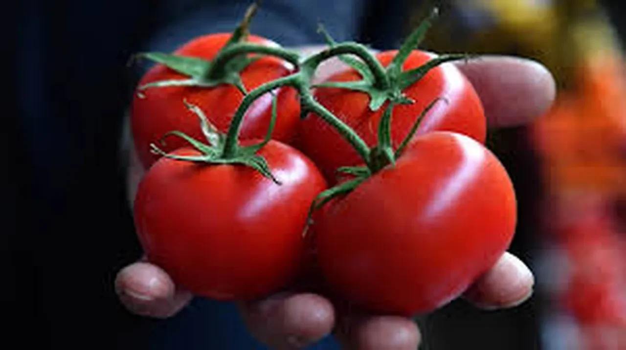 Buzdolabında asla yan yana konulmaması gereken yiyecekler açıklandı