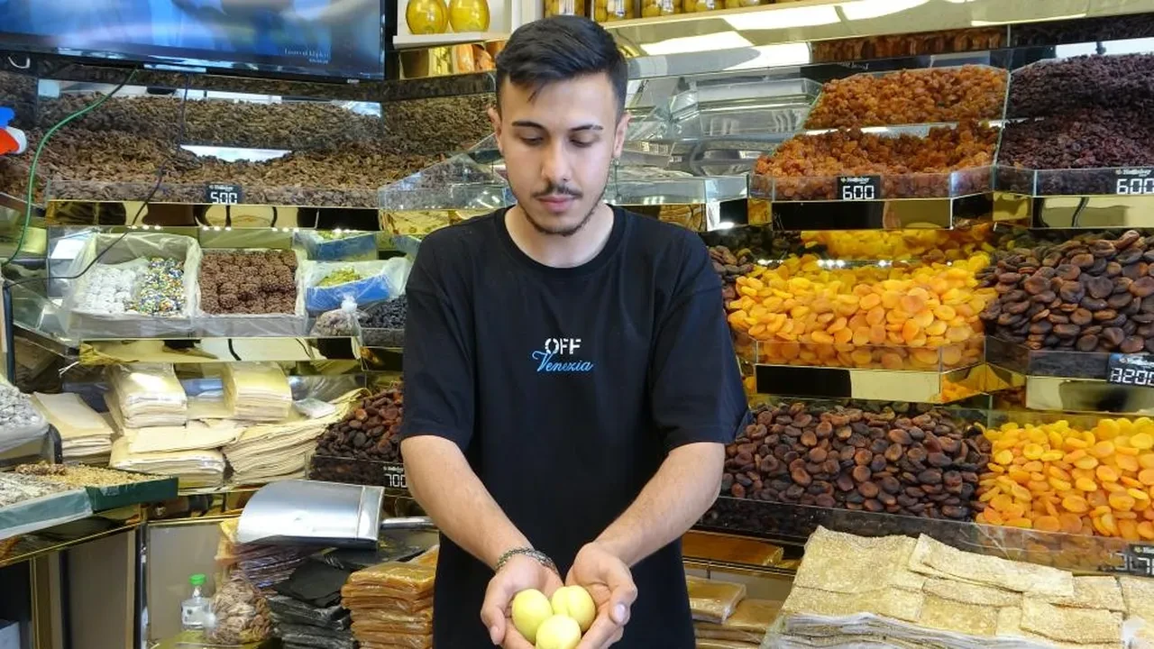 Dalında 70, markette 150 TL! Malatya'da yaş kayısı tezgahtaki yerini aldı