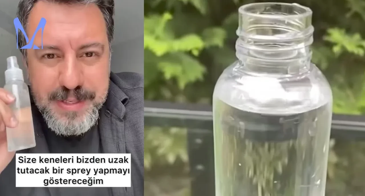 Doğal kene kovucu sprey tarifi! Doktorun önerdiği bu formülle keneler yanınıza yaklaşamayacak