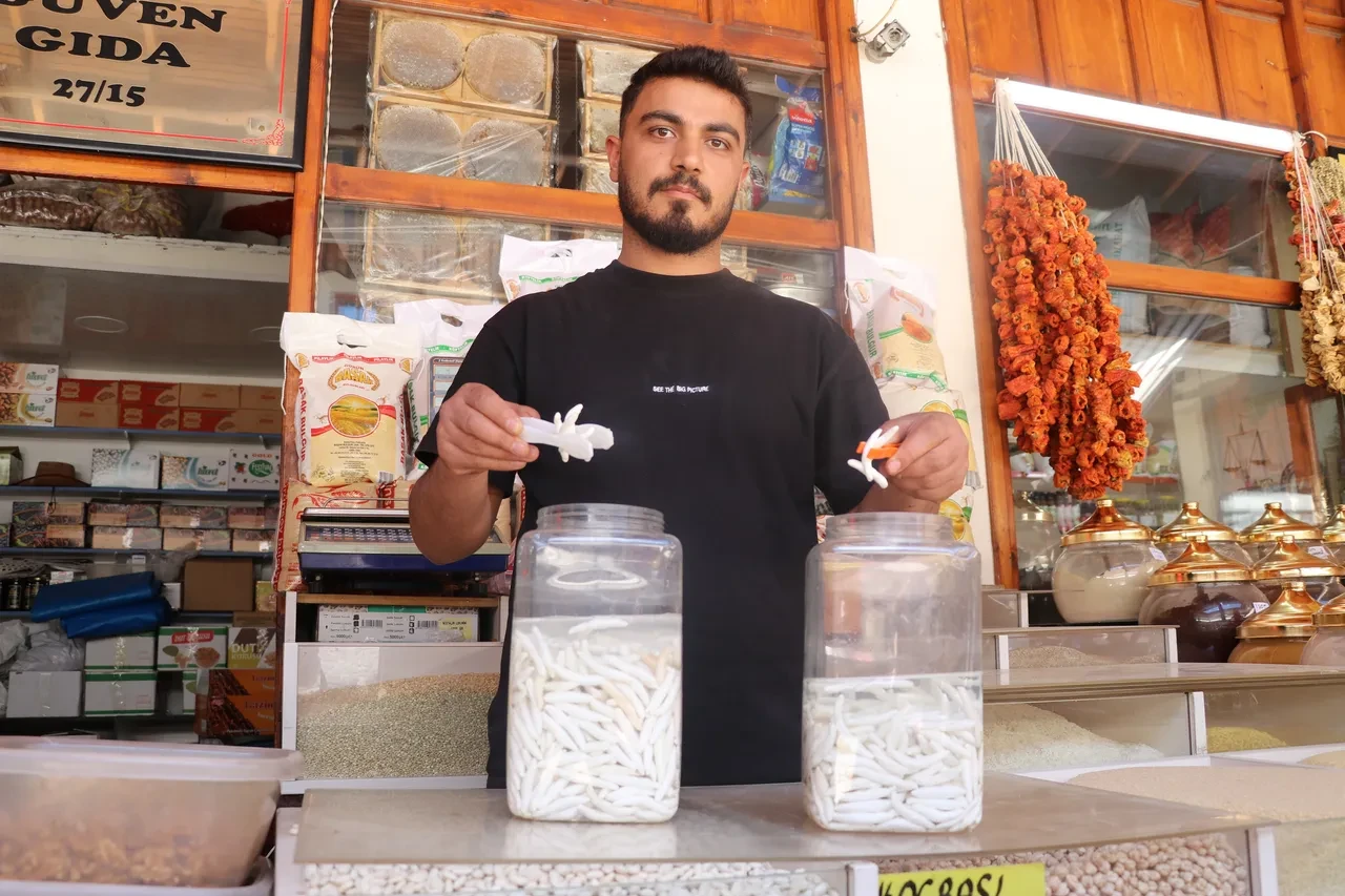 Kilosu altınla yarışıyor: Sivas dağlarından toplanan şifa kaynağının fiyatı dudak uçuklattı!