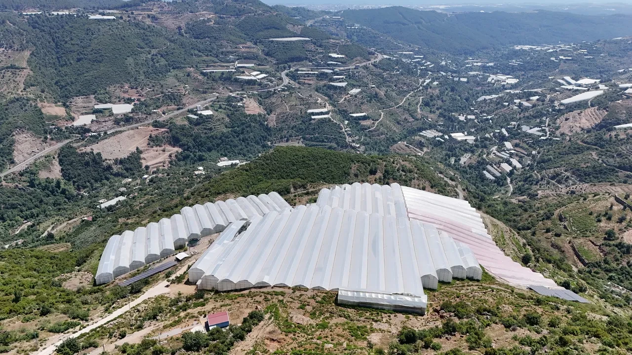 Muzdaki fiyat uçurumuna üretici tepkili: Vatandaşa gelene kadar 4'e katlanıyor