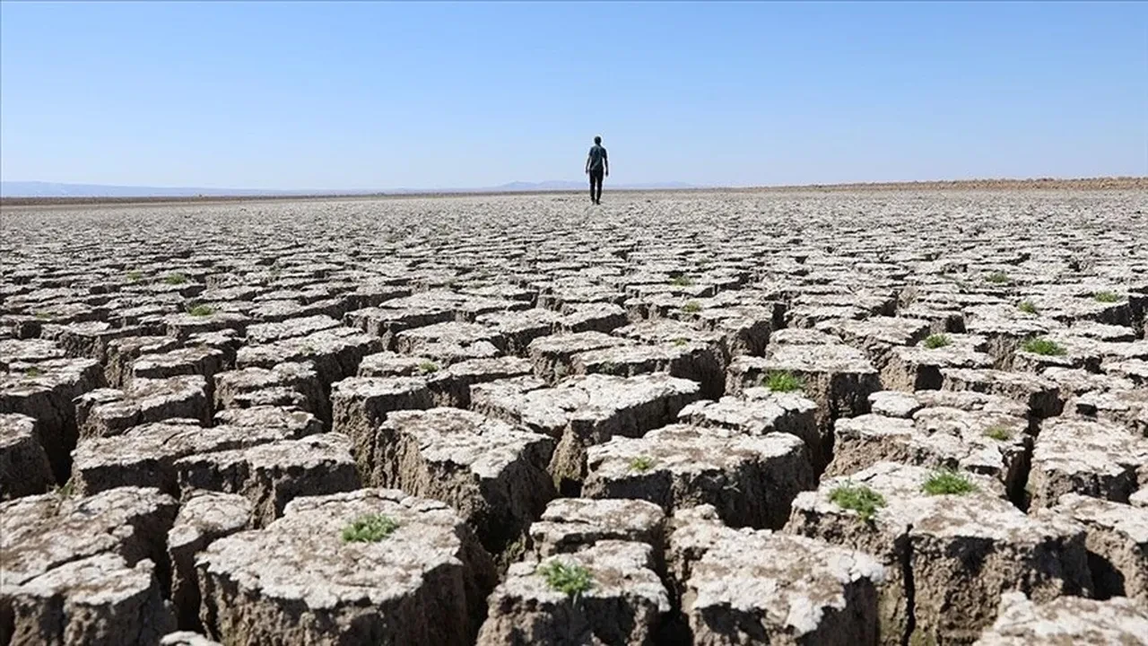 Dünya Meteoroloji Örgütü'nden korkutan açıklama: El Nino ısınan dünyanın ateşine benzin dökecek