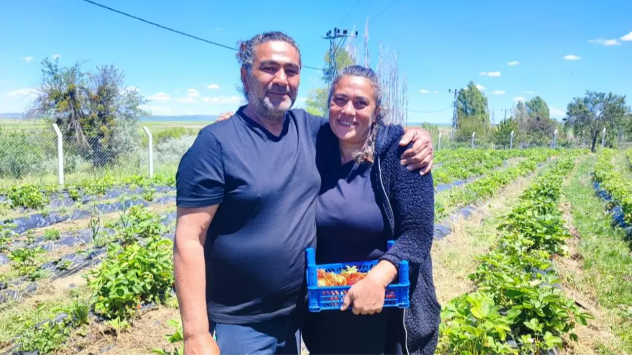 Şehir hayatını üç günde bıraktılar, kazancı Yozgat'ta buldular