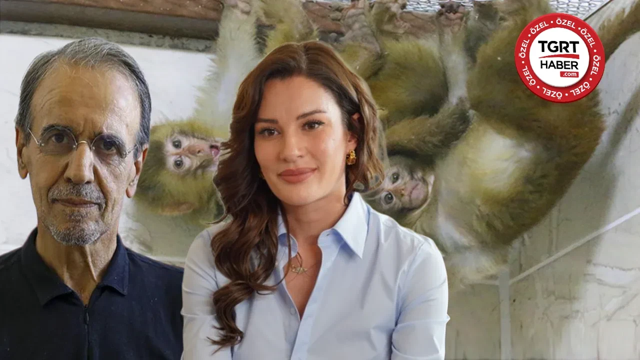 Ece İrtem'in ölümünde şoke eden detay! Maymun ısırığı ölüme yol açar mı? Mehmet Ceyhan başka noktaya dikkat çekti: 'Daha büyük ihtimal...'