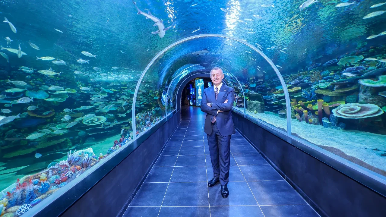 Kocaeli’nin su altındaki yeni vitrini! Körfez Aqua