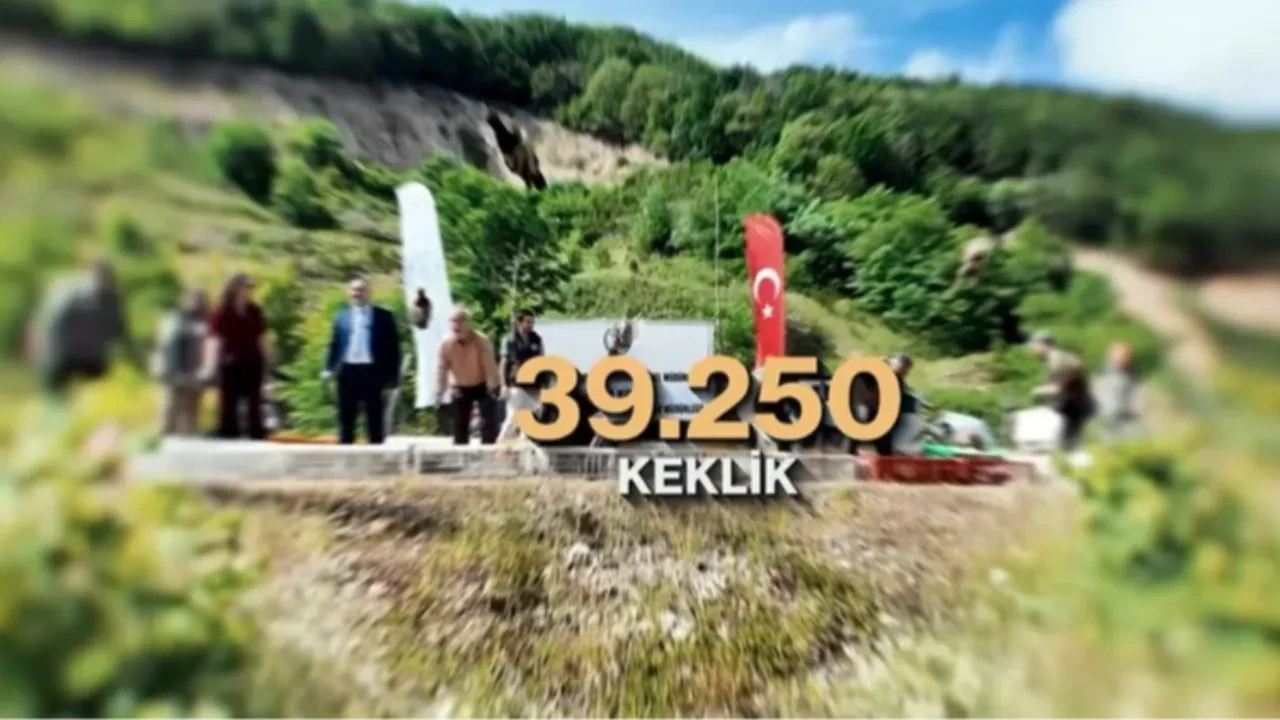 Tarım Bakanlığı harekete geçti: 51 bin keklik ve sülün kene avına çıkıyor