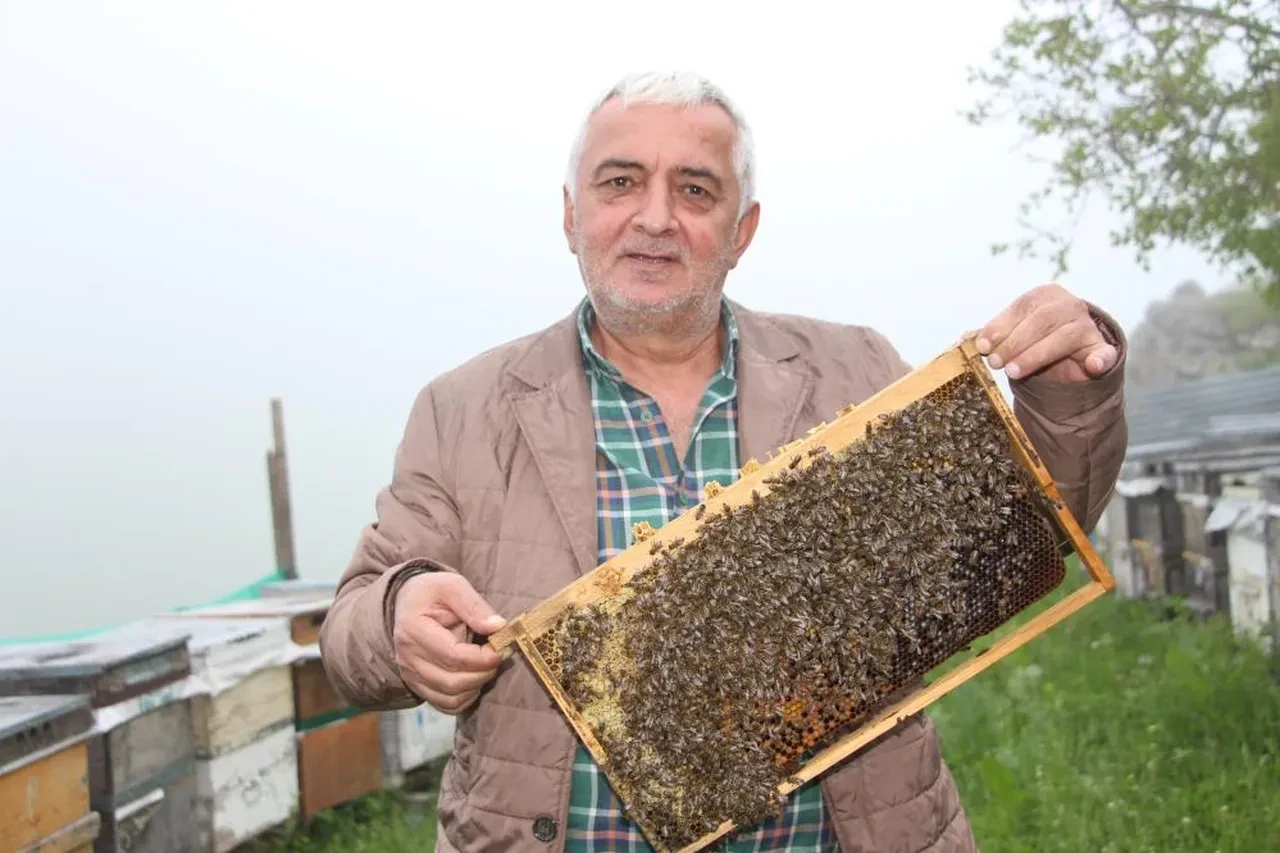 Anzer balında yeni rakamlar belli oldu! Kilosu 7 bin TL'den satılacak