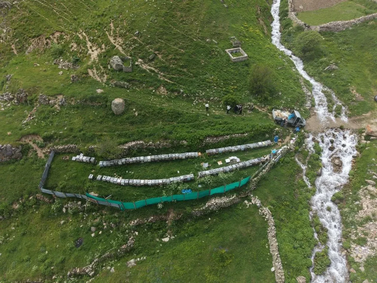 Anzer balında yeni rakamlar belli oldu! Kilosu 7 bin TL'den satılacak