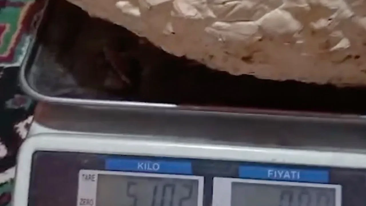 Yaylada merak uyandıran keşif! İlk kez karşılaştı, gözlerine inanamadı: Tam 5 kilo