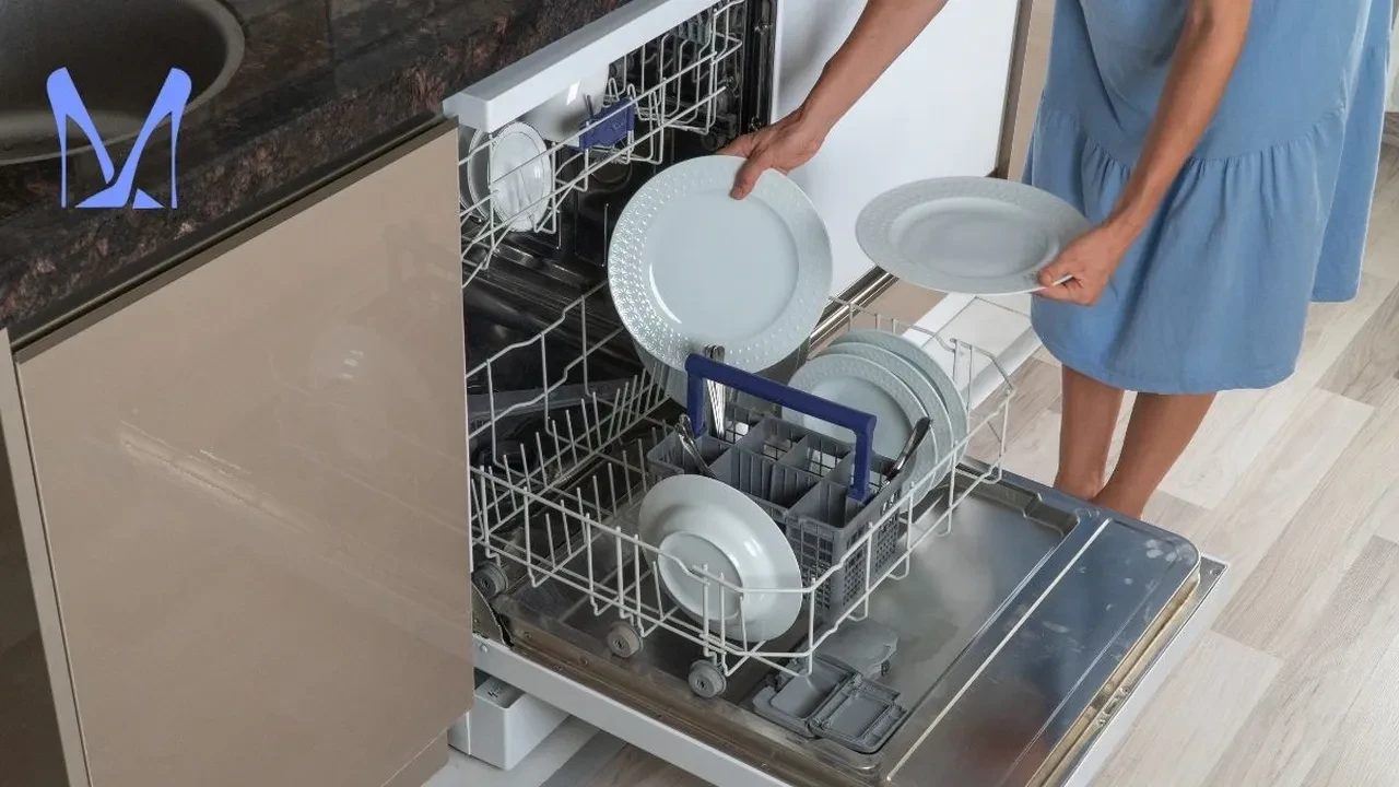İbni Sina günümüzde yaşasaydı bulaşık makinesi hakkında ne derdi? Hangi ürünlerin beraber yıkanmamasını söylerdi?