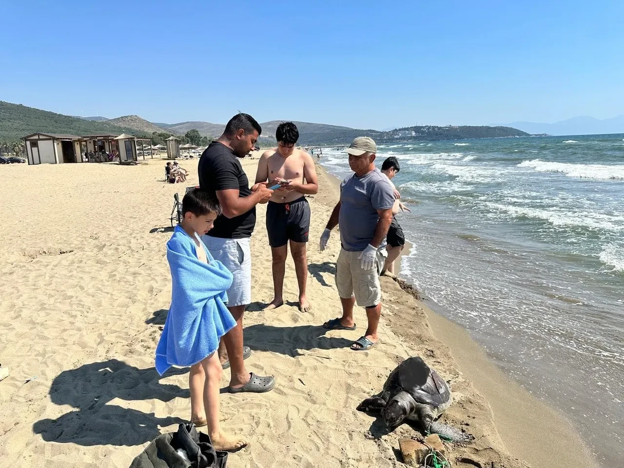 Kuşadası'nın ardından bir haftada ikinci kez! Deniz kaplumbağasının ayağına taş bağladılar