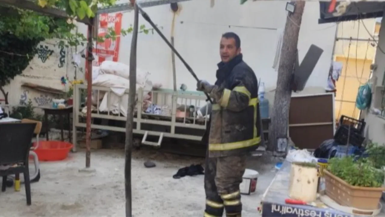 Yaz geldi, kabus hortladı! Evin bahçesine giren dev yılan korkuttu 