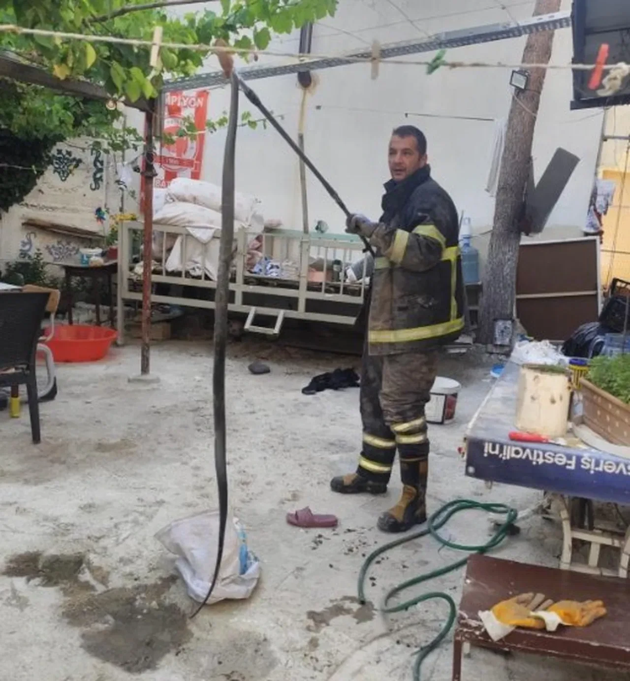 Yaz geldi, kabus hortladı! Evin bahçesine giren dev yılan korkuttu