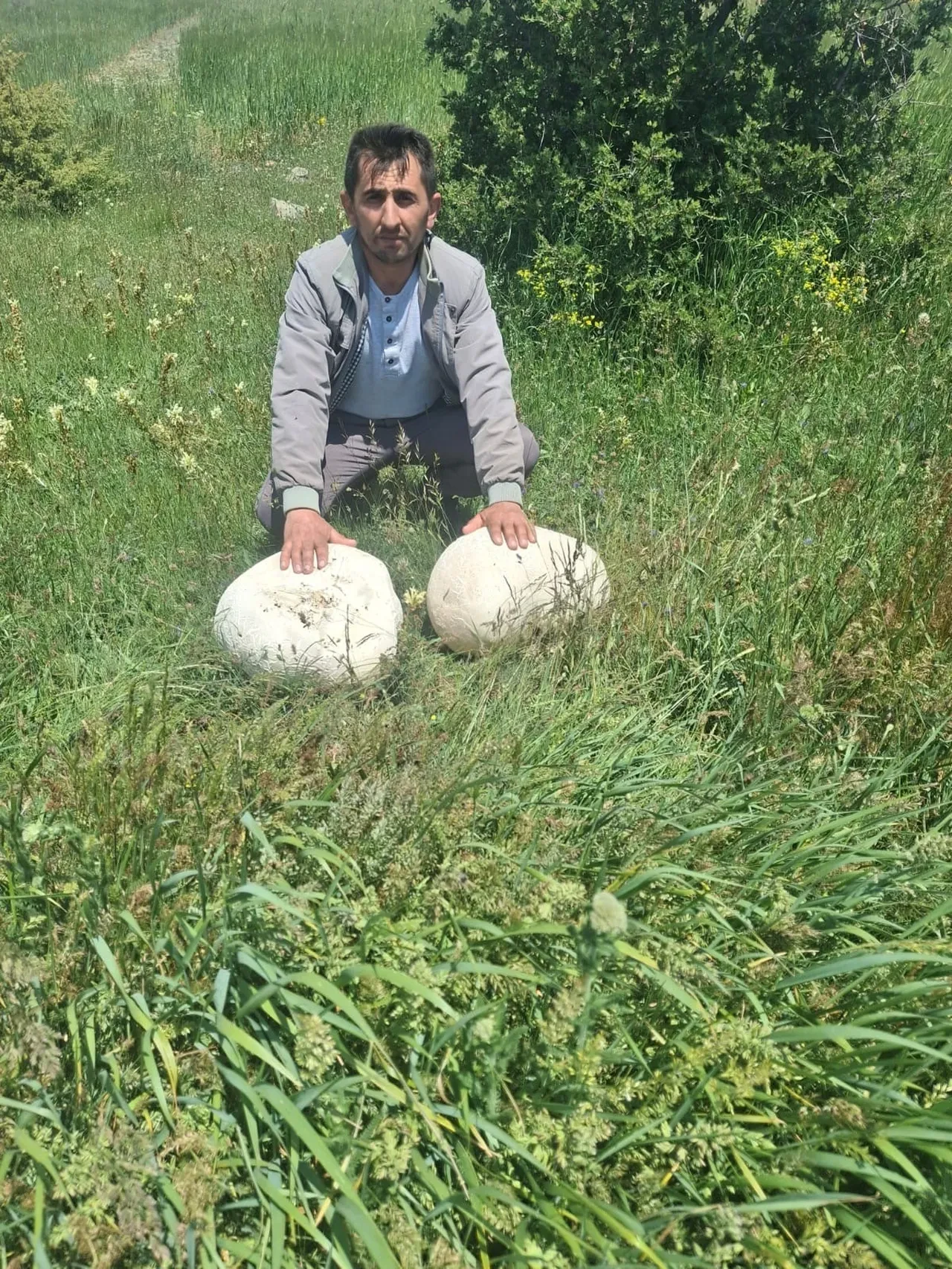 Tesadüfen bulundu, görenleri hayrete düşürdü! Tam 20 kilo ağırlığında
