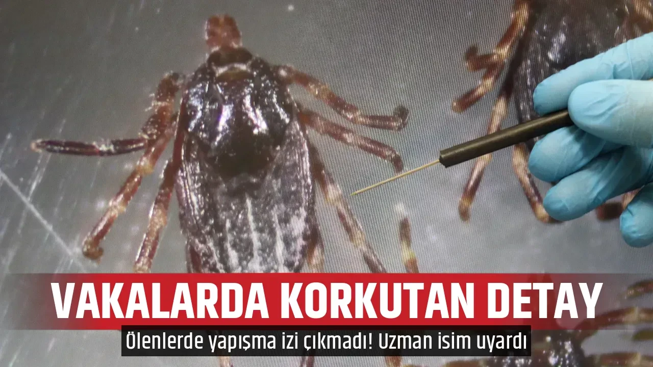 VAKALARDA KORKUTAN DETAY
