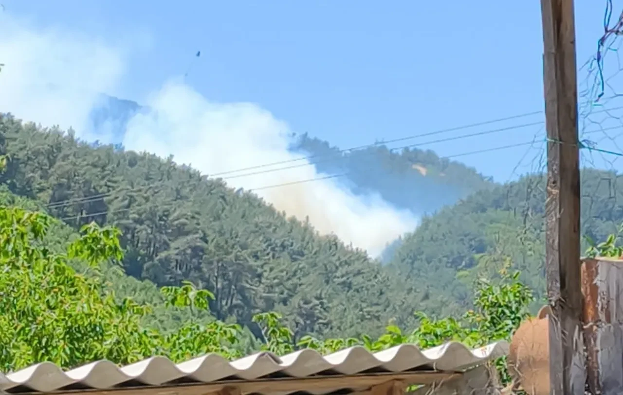 Soma’da korkutan orman yangını! Ekipler seferber oldu, alevler kontrol altına alındı