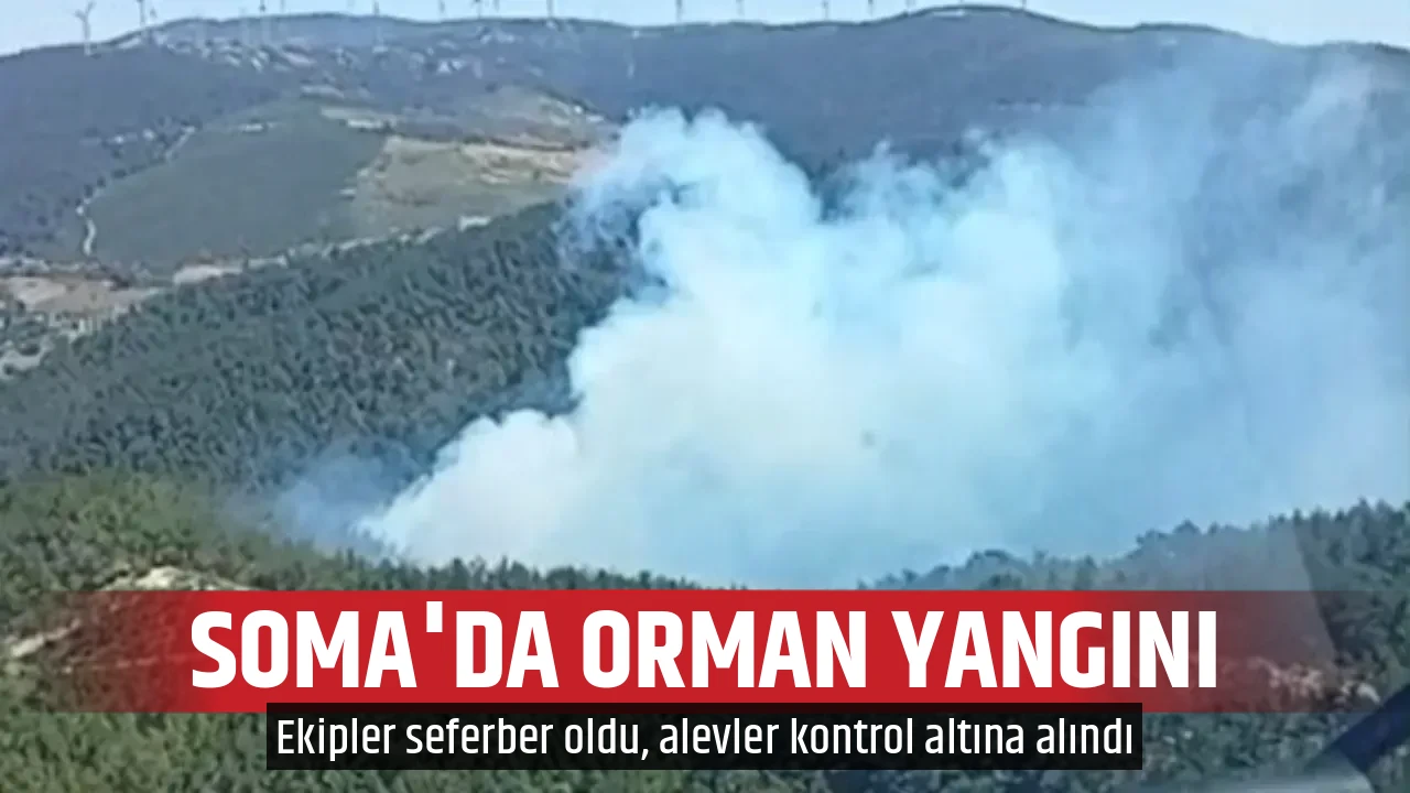 SOMA'DA ORMAN YANGINI