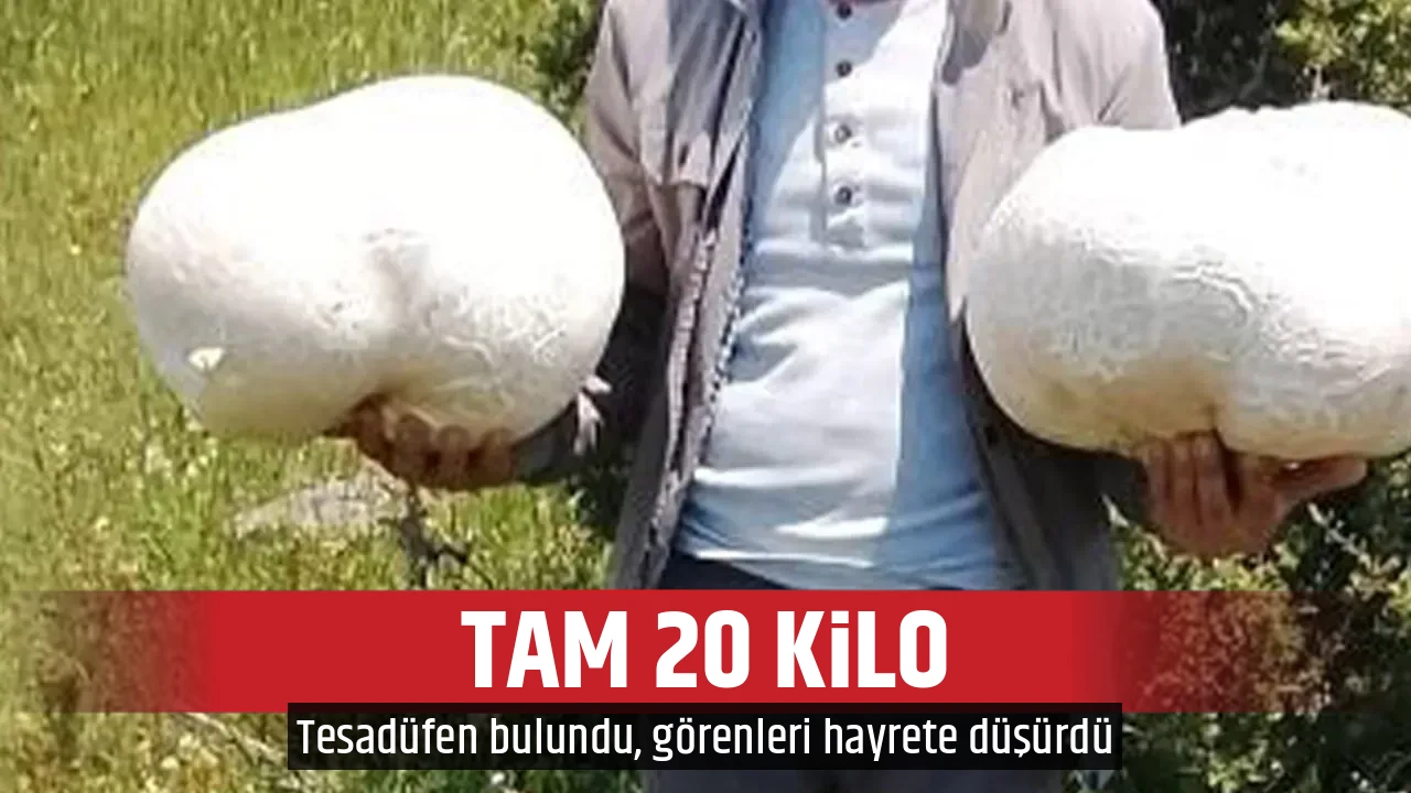 TAM 20 KİLO