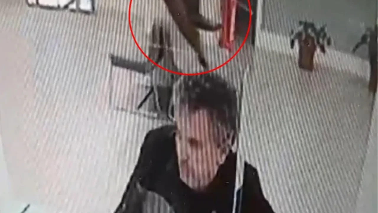 Fotoğraf