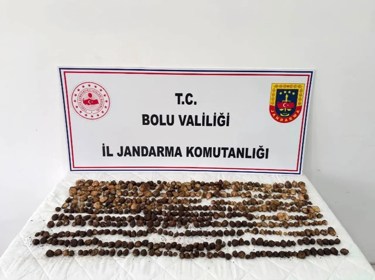 Dağdan topladıkları bitki başlarına bela oldu! 2 milyon lira ceza kesildi, isyan edip çatıya çıktı