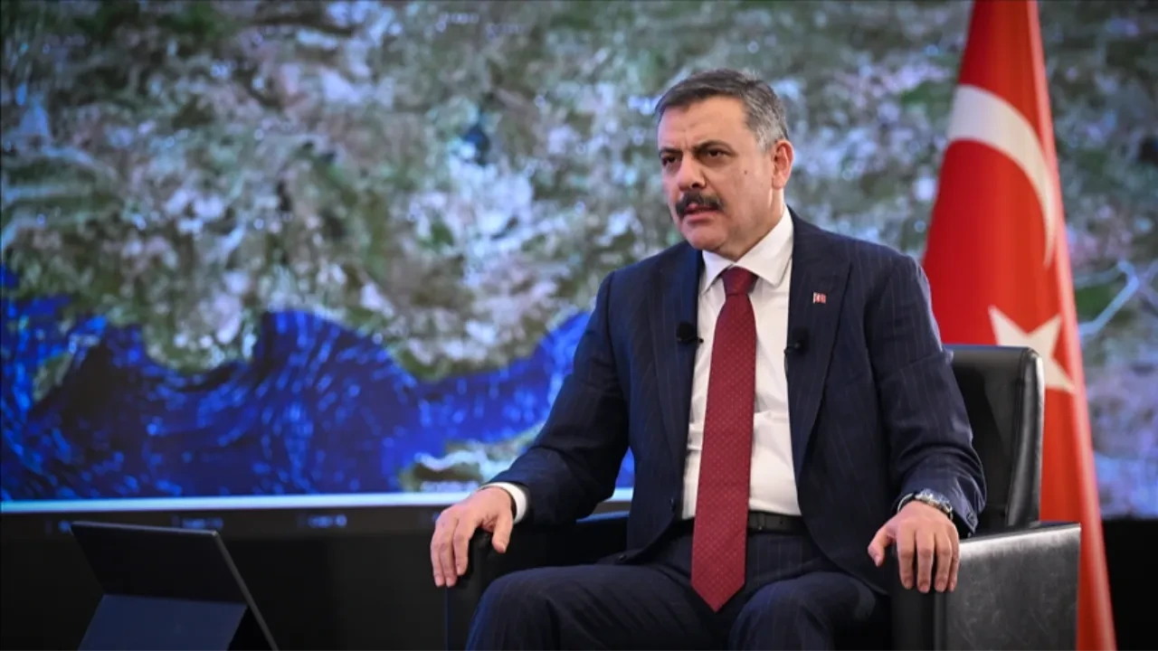 Fotoğraf