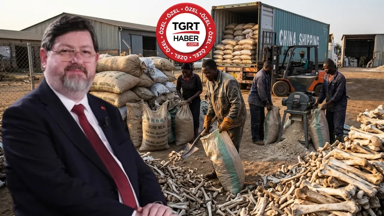 Fotoğraf