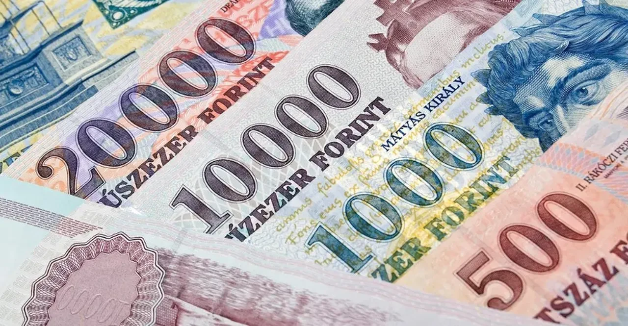 Macaristan euroya geçmek için düğmeye bastı