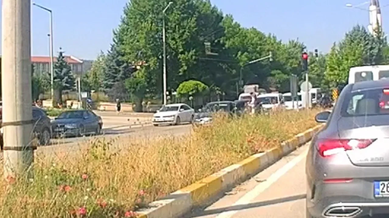 Fotoğraf