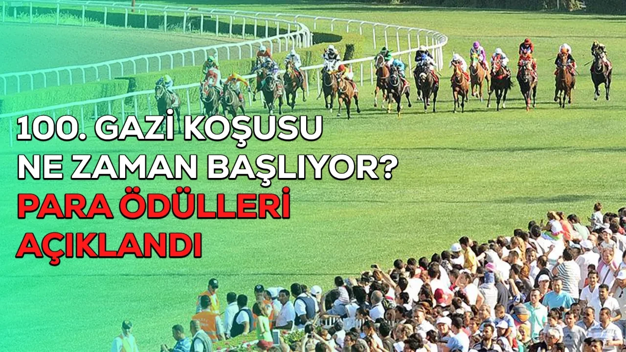 Fotoğraf
