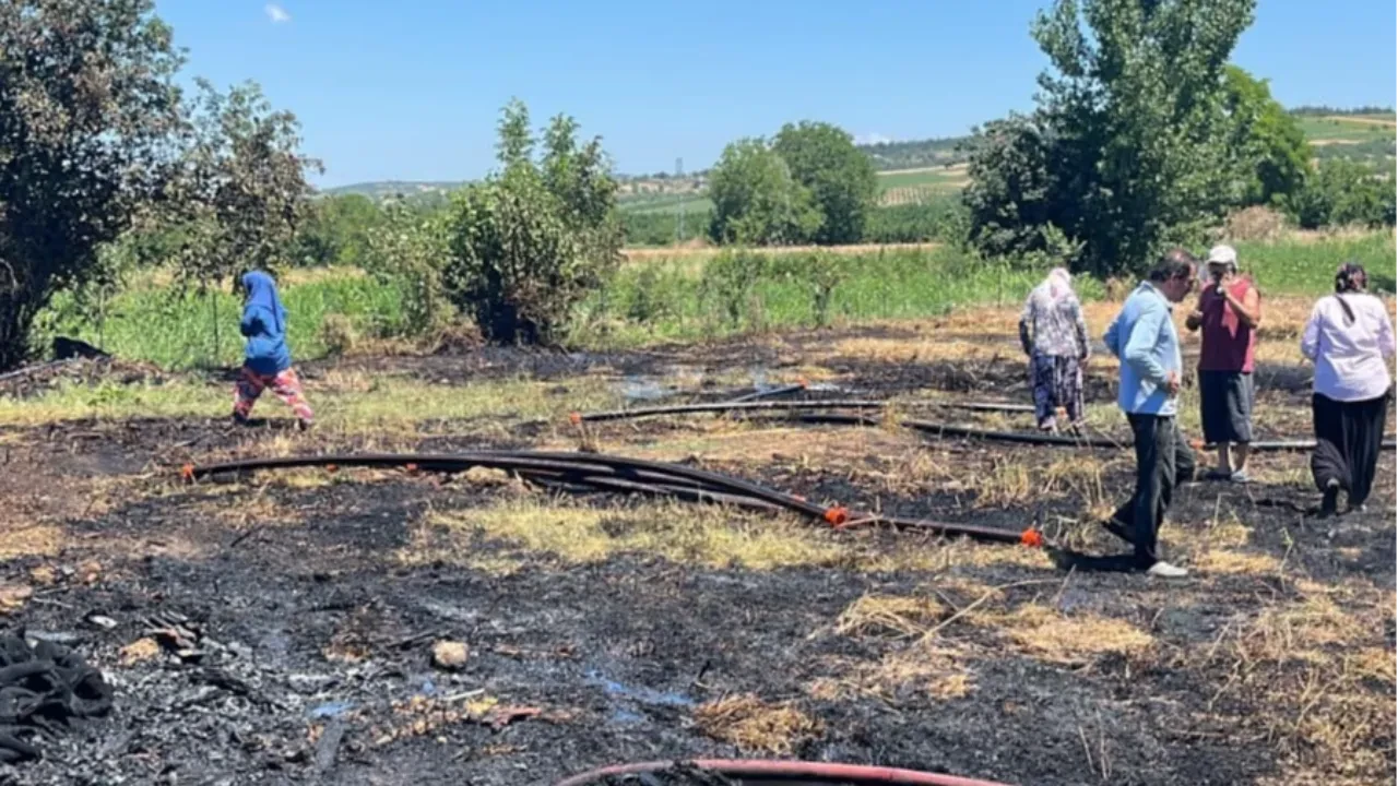 Bursa'da anız yangını 20 dönümü küle çevirdi