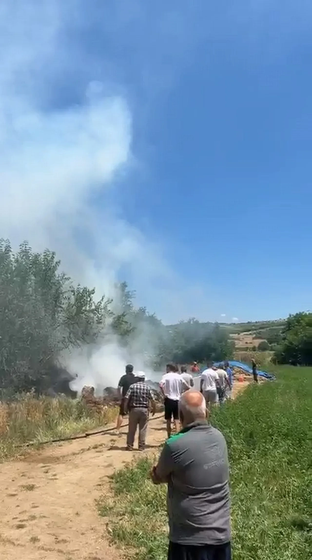 Bursa'da anız yangını 20 dönümü küle çevirdi