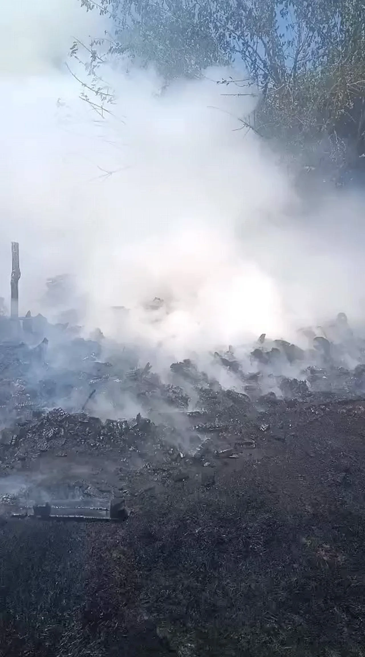 Bursa'da anız yangını 20 dönümü küle çevirdi